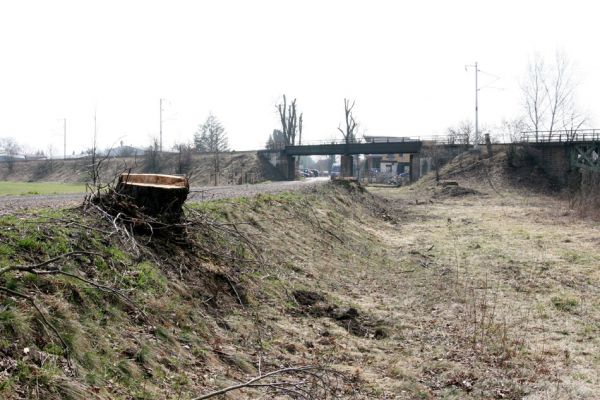 Chlumec nad Cidlinou, 28.3.2011
Reportáž z likvidace biotopů chráněných brouků - lip v lipové aleji u Cidliny.
Keywords: Chlumec nad Cidlinou saproxylofágní holokaust páchník Osmoderma barnabita Protaetia lugubris Protaetia aeruginosa Elater ferrugineus Crepidophorus mutilatus