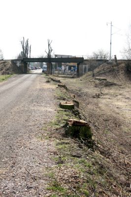 Chlumec nad Cidlinou, 28.3.2011
Reportáž z likvidace biotopů chráněných brouků - lip v lipové aleji u Cidliny.
Keywords: Chlumec nad Cidlinou saproxylofágní holokaust páchník Osmoderma barnabita Protaetia lugubris Protaetia aeruginosa Elater ferrugineus Crepidophorus mutilatus