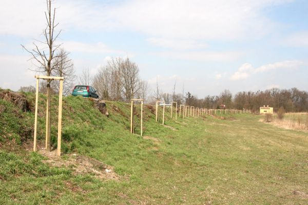 Chlumec nad Cidlinou, 28.3.2011
Reportáž z likvidace biotopů chráněných brouků - lip v lipové aleji u Cidliny. Náhradní výsadba mladých lip.
Mots-clés: Chlumec nad Cidlinou saproxylofágní holokaust páchník Osmoderma barnabita Protaetia lugubris Protaetia aeruginosa Elater ferrugineus Crepidophorus mutilatus