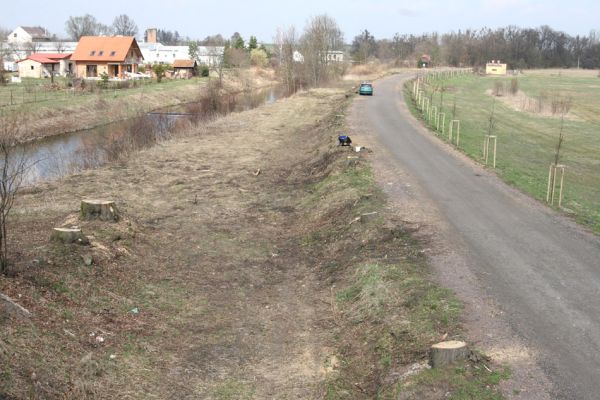 Chlumec nad Cidlinou, 28.3.2011
Reportáž z likvidace biotopů chráněných brouků - lip v lipové aleji u Cidliny. 
Keywords: Chlumec nad Cidlinou saproxylofágní holokaust páchník Osmoderma barnabita Protaetia lugubris Protaetia aeruginosa Elater ferrugineus Crepidophorus mutilatus