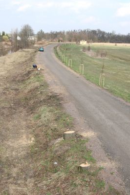 Chlumec nad Cidlinou, 28.3.2011
Reportáž z likvidace biotopů chráněných brouků - lip v lipové aleji u Cidliny. 
Mots-clés: Chlumec nad Cidlinou saproxylofágní holokaust páchník Osmoderma barnabita Protaetia lugubris Protaetia aeruginosa Elater ferrugineus Crepidophorus mutilatus