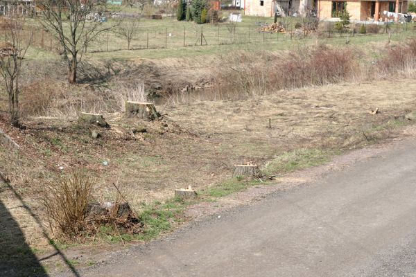 Chlumec nad Cidlinou, 28.3.2011
Reportáž z likvidace biotopů chráněných brouků - lip v lipové aleji u Cidliny. Byly podříznuty i lípy na břehu Cidliny.
Schlüsselwörter: Chlumec nad Cidlinou saproxylofágní holokaust páchník Osmoderma barnabita Protaetia lugubris Protaetia aeruginosa Elater ferrugineus Crepidophorus mutilatus