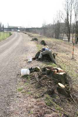 Chlumec nad Cidlinou, 28.3.2011
Reportáž z likvidace biotopů chráněných brouků - lip v lipové aleji u Cidliny. 
Keywords: Chlumec nad Cidlinou Kubík saproxylofágní holokaust páchník Osmoderma barnabita Protaetia lugubris Protaetia aeruginosa Elater ferrugineus Crepidophorus mutilatus