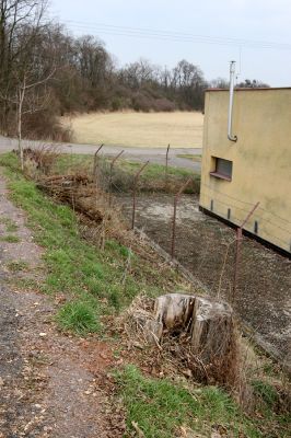 Chlumec nad Cidlinou, 28.3.2011
Reportáž z likvidace biotopů chráněných brouků - lip v lipové aleji u Cidliny. Pařez z kmene lípy, ve které nalezl v prosinci 2009 kolega Kubík více larev páchníků a kovaříků Elater ferrugineus.
Keywords: Chlumec nad Cidlinou saproxylofágní holokaust páchník Osmoderma barnabita Elater ferrugineus