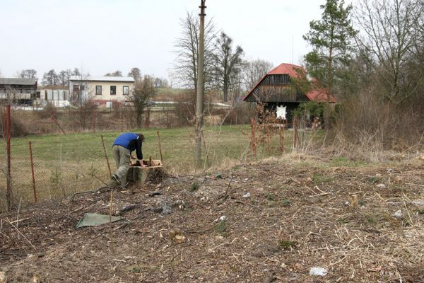 Chlumec nad Cidlinou, 28.3.2011
Reportáž z likvidace biotopů chráněných brouků - lip v lipové aleji u Cidliny. 
Keywords: Chlumec nad Cidlinou Kubík saproxylofágní holokaust páchník Osmoderma barnabita Protaetia lugubris Protaetia aeruginosa Elater ferrugineus Crepidophorus mutilatus