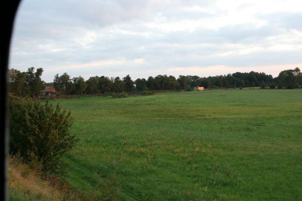 Chlumec nad Cidlinou, 29.8.2010
Pohled od železniční trati na zdevastovanou lipovou alej podél Cidliny. Polovina lip byla zlikvidována, aby mohla být rozšířena cesta na zemědělskou usedlost Ostrov a bažantnici Luhy.
Schlüsselwörter: Chlumec nad Cidlinou saproxylofágní holokaust Lamprodila rutilans krasec lipový Elater ferrugineus Osmoderma páchník