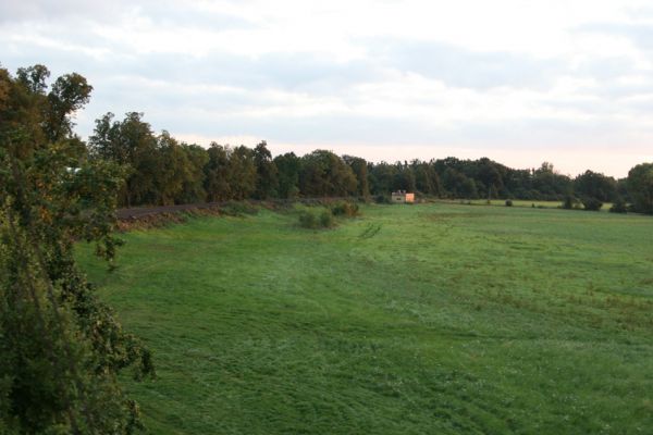 Chlumec nad Cidlinou, 29.8.2010
Pohled od železniční trati na zdevastovanou lipovou alej podél Cidliny. Polovina lip byla zlikvidována, aby mohla být rozšířena cesta na zemědělskou usedlost Ostrov a bažantnici Luhy. 
Klíčová slova: Chlumec nad Cidlinou saproxylofágní holokaust Lamprodila rutilans krasec lipový Elater ferrugineus Osmoderma páchník