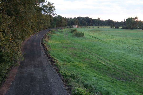 Chlumec nad Cidlinou, 29.8.2010
Pohled od železniční trati na zdevastovanou lipovou alej podél Cidliny. Polovina lip byla zlikvidována proto, aby byla rozšířena cesta na zemědělskou usedlost Ostrov a bažantnici Luhy. 
Klíčová slova: Chlumec nad Cidlinou saproxylofágní holokaust Lamprodila rutilans krasec lipový Elater ferrugineus Osmoderma páchník