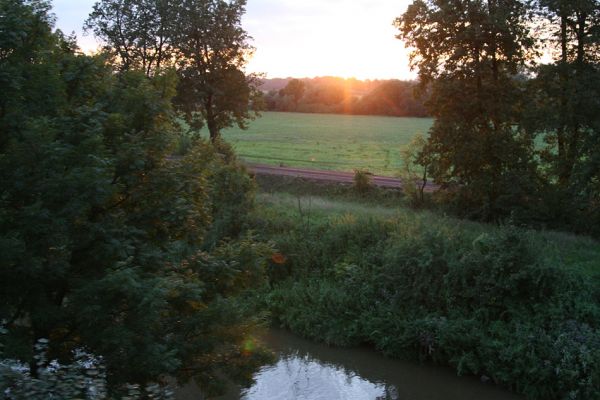 Chlumec nad Cidlinou, 29.8.2010
Východ slunce nad prořídlou lipovou alejí u Cidliny.
Schlüsselwörter: Chlumec nad Cidlinou saproxylofágní holokaust Lamprodila rutilans krasec lipový Elater ferrugineus Osmoderma páchník