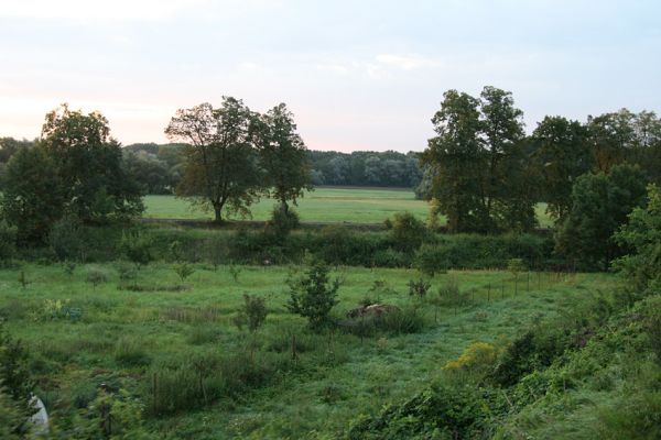 Chlumec nad Cidlinou, 29.8.2010
Pohled od železniční trati na zdevastovanou lipovou alej podél Cidliny. Polovina lip byla zlikvidována, aby mohla být rozšířena cesta na zemědělskou usedlost Ostrov a bažantnici Luhy. 
Mots-clés: Chlumec nad Cidlinou saproxylofágní holokaust Lamprodila rutilans krasec lipový Elater ferrugineus Osmoderma páchník