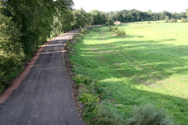 Chlumec nad Cidlinou, 29.8.2010
Pohled od železniční trati na zdevastovanou lipovou alej podél Cidliny. Polovina lip byla zlikvidována, aby mohla být rozšířena cesta na zemědělskou usedlost Ostrov a bažantnici Luhy. 
Klíčová slova: Chlumec nad Cidlinou saproxylofágní holokaust Lamprodila rutilans krasec lipový Elater ferrugineus Osmoderma páchník