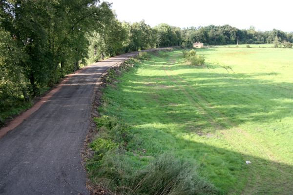 Chlumec nad Cidlinou, 29.8.2010
Pohled od železniční trati na zdevastovanou lipovou alej podél Cidliny. Polovina lip byla zlikvidována, aby mohla být rozšířena cesta na zemědělskou usedlost Ostrov a bažantnici Luhy. 
Klíčová slova: Chlumec nad Cidlinou saproxylofágní holokaust Lamprodila rutilans krasec lipový Elater ferrugineus Osmoderma páchník