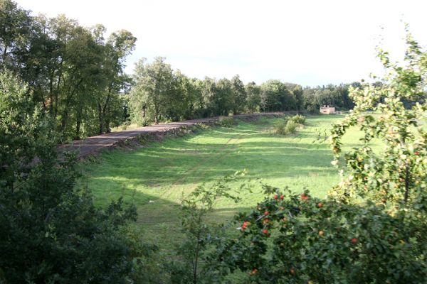 Chlumec nad Cidlinou, 29.8.2010
Pohled od železniční trati na zdevastovanou lipovou alej podél Cidliny. Polovina lip byla zlikvidována, aby mohla být rozšířena cesta na zemědělskou usedlost Ostrov a bažantnici Luhy.
Keywords: Chlumec nad Cidlinou saproxylofágní holokaust Lamprodila rutilans krasec lipový Elater ferrugineus Osmoderma páchník