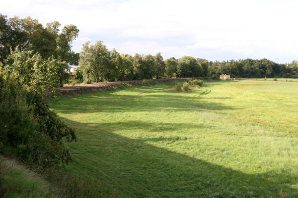 Chlumec nad Cidlinou, 29.8.2010
Pohled od železniční trati na zdevastovanou lipovou alej podél Cidliny. Polovina lip byla zlikvidována, aby mohla být rozšířena cesta na zemědělskou usedlost Ostrov a bažantnici Luhy.
Keywords: Chlumec nad Cidlinou saproxylofágní holokaust Lamprodila rutilans krasec lipový Elater ferrugineus Osmoderma páchník