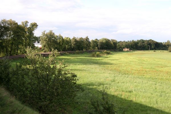 Chlumec nad Cidlinou, 29.8.2010
Pohled od železniční trati na zdevastovanou lipovou alej podél Cidliny. Polovina lip byla zlikvidována, aby mohla být rozšířena cesta na zemědělskou usedlost Ostrov a bažantnici Luhy.
Mots-clés: Chlumec nad Cidlinou saproxylofágní holokaust Lamprodila rutilans krasec lipový Elater ferrugineus Osmoderma páchník