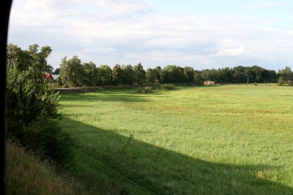 Chlumec nad Cidlinou, 29.8.2010
Pohled od železniční trati na zdevastovanou lipovou alej podél Cidliny. Polovina lip byla zlikvidována, aby mohla být rozšířena cesta na zemědělskou usedlost Ostrov a bažantnici Luhy.
Klíčová slova: Chlumec nad Cidlinou saproxylofágní holokaust Lamprodila rutilans krasec lipový Elater ferrugineus Osmoderma páchník