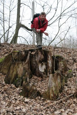 Chlumec nad Cidlinou, 3.3.2009
Kolega Vladimír Kubík na pařezu dubu, který byl osídlený kovaříky Crepidophorus mutilatus, Ampedus brunnicornis a A. cardinalis (dub zlikvidovaný v roce 1994).
Keywords: Chlumec nad Cidlinou Chlumecká bažantnice obora luhy Vladimír Kubík Osmoderma eremita páchník