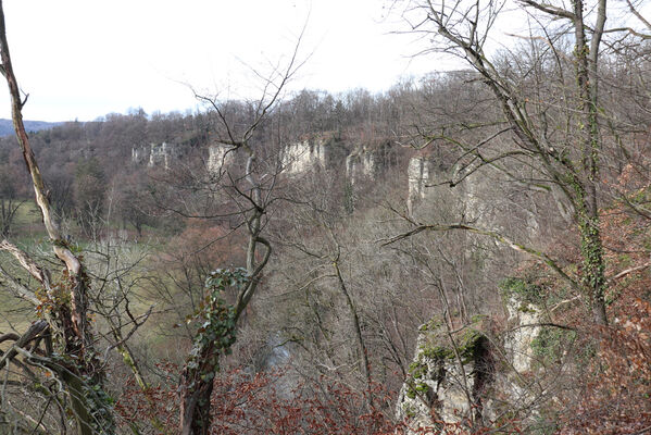 Choceň, 12.1.2023
Peliny.
Keywords: Choceň Peliny