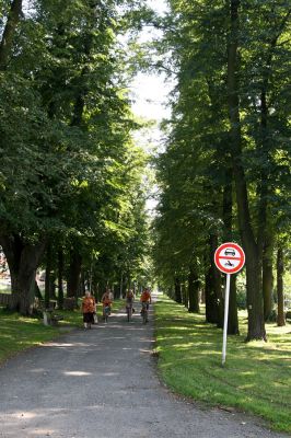 Choceň, 21.8.2010
Lipová alej od železniční stanice k vrchu Chlum. 
Klíčová slova: Choceň Chlum Lamprodila rutilans krasec lipový