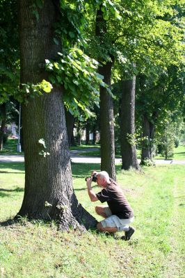 Choceň, 21.8.2010
Lipová alej od železniční stanice k vrchu Chlum. Na okraji aleje lze na osluněných kmenech nalézt výletové otvory krasců lipových.
Klíčová slova: Choceň Chlum Lamprodila rutilans krasec lipový Josef Mertlik