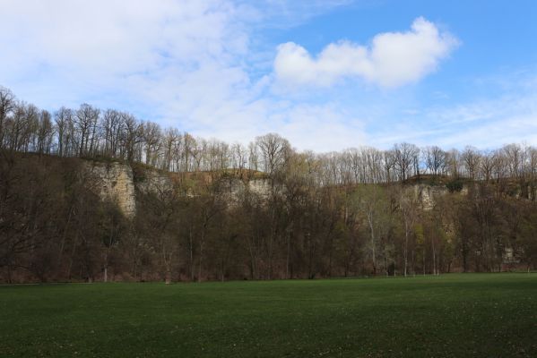 Choceň, 6.4.2019
Peliny.
Keywords: Choceň Peliny Anostirus gracilicollis