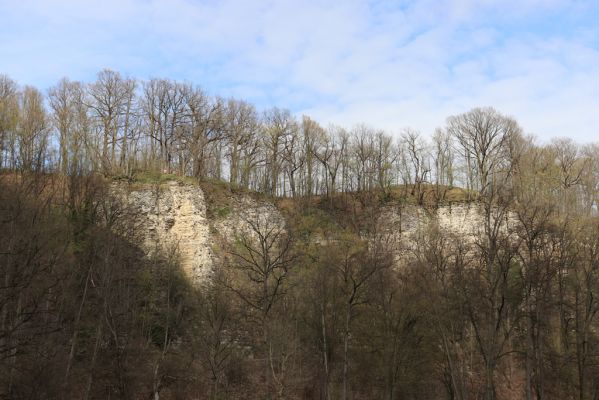 Choceň, 6.4.2019
Peliny.
Schlüsselwörter: Choceň Peliny Anostirus gracilicollis