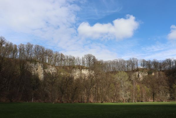 Choceň, 6.4.2019
Peliny.
Keywords: Choceň Peliny Anostirus gracilicollis