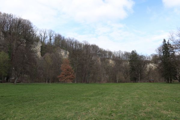 Choceň, 6.4.2019
Peliny.
Klíčová slova: Choceň Peliny Anostirus gracilicollis