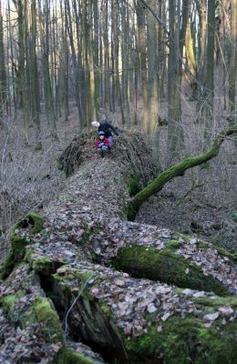 Choltice, 26.12.2009
Kluci při průzkumu rezervace.
Klíčová slova: Choltice