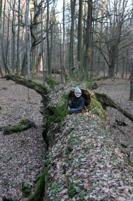 Choltice, 26.12.2009
Kluci na průzkumu rezervace.
Klíčová slova: Choltice