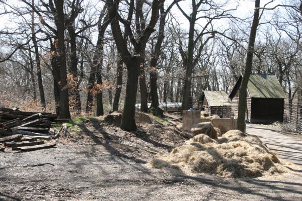 Chomutov, 26.3.2012
Duby v západní části Zooparku.
Schlüsselwörter: Krušné hory Chomutov Zoopark