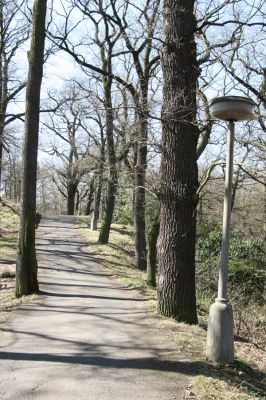 Chomutov, 26.3.2012
Duby v západní části Zooparku.
Keywords: Krušné hory Chomutov Zoopark