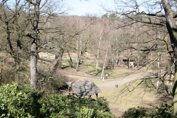 Chomutov, 26.3.2012
Západní část Zooparku.
Klíčová slova: Krušné hory Chomutov Zoopark