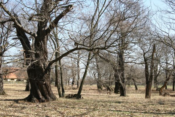 Chomutov, 26.3.2012
Zoopark - Kaštanka.
Klíčová slova: Krušné hory Chomutov Zoopark Kaštanka