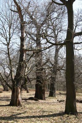 Chomutov, 26.3.2012
Zoopark - Kaštanka. 
Klíčová slova: Krušné hory Chomutov Zoopark Kaštanka