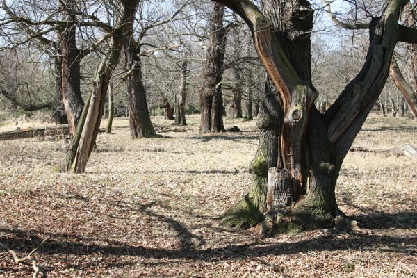 Chomutov, 26.3.2012
Zoopark - Kaštanka. 
Klíčová slova: Krušné hory Chomutov Zoopark Kaštanka