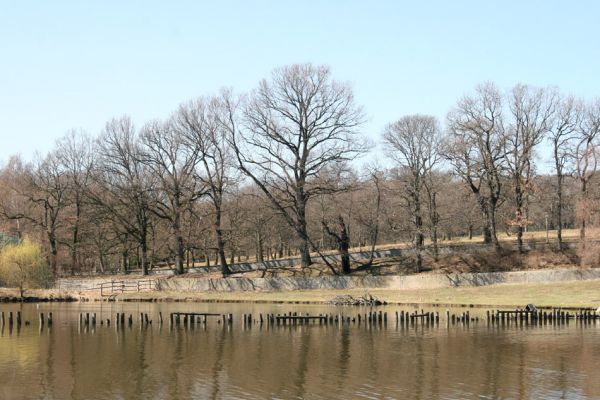 Chomutov, 26.3.2012
Východní část Zooparku.
Schlüsselwörter: Krušné hory Chomutov Zoopark