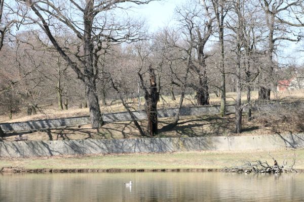 Chomutov, 26.3.2012
Východní část Zooparku.
Schlüsselwörter: Krušné hory Chomutov Zoopark