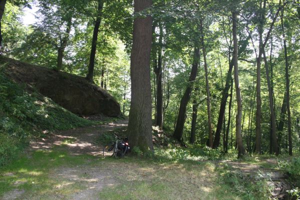 Chotěboř, 23.8.2012
Zámecký větší rybník.



Klíčová slova: Chotěboř Zámecký větší rybník