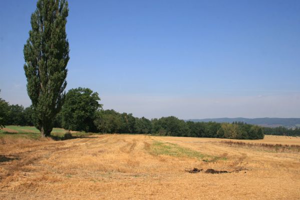 Chotěboř, 23.8.2012
Pohled od Chotěboře na sever na háj V Dubinách.
Mots-clés: Chotěboř Zastrání V Dubinách