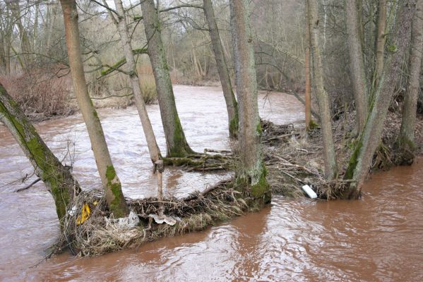 Chotěvice, 22.2.2016
Soutok Labe a Pilníkovského potoka.



Klíčová slova: Chotěvice soutok Labe Pilníkovský potok