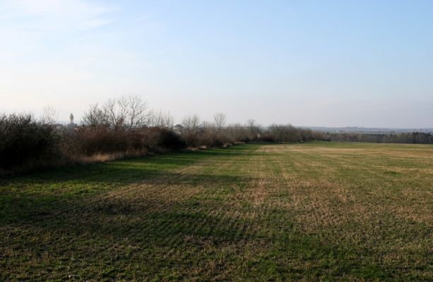Rosice u Chrasti, 29.11.2009
Pohled od třešňovky na severní okraj PP Chrašická stráň. 
Klíčová slova: Rosice Chrast Chrašická stráň