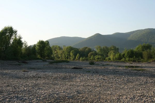 Chust - řeka Tisa, 28.4.2009
Štěrkové náplavy Tisy. V pozadí hora Tovsta (819m).
Klíčová slova: Chust Tisa Zorochros meridionalis quadriguttatus
