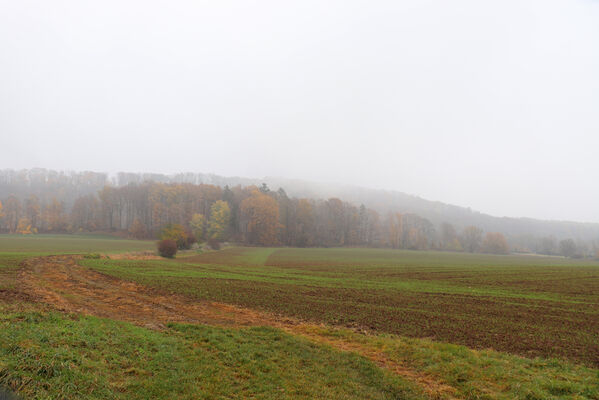 Železnice, Cidlina, 15.11.2022
Vrch Hůra od Cidliny.
Keywords: Železnice Cidlina Cidlinský hřeben vrch Hůra