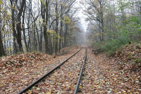 Železnice, Cidlina, 15.11.2022
Vrch Hůra.
Schlüsselwörter: Železnice Cidlina Cidlinský hřeben vrch Hůra