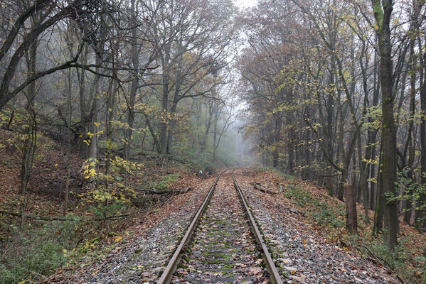 Železnice, Cidlina, 15.11.2022
Vrch Hůra, železniční trať Libuň - Lomnice nad Popelkou.
Keywords: Železnice Cidlina Cidlinský hřeben vrch Hůra