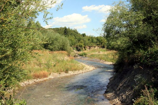 Čimhová, 2.8.2013
Štěrkové náplavy v meandrech řeky Oravice východně od obce.

Klíčová slova: Čimhová Oravica