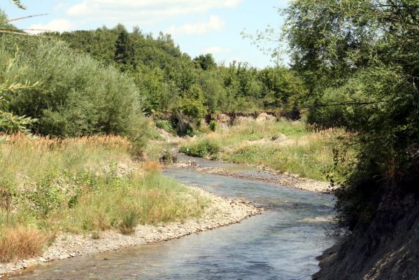 Čimhová, 2.8.2013
Štěrkové náplavy v meandrech řeky Oravice východně od obce.

Klíčová slova: Čimhová Oravica