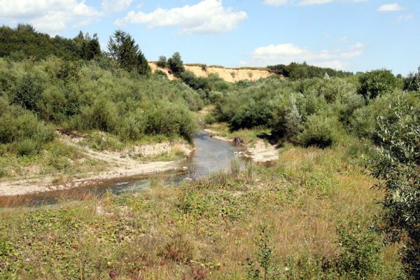 Čimhová, 2.8.2013
Suté břehy a štěrkové náplavy v meandrech řeky Oravice východně od obce.


Klíčová slova: Čimhová Oravica