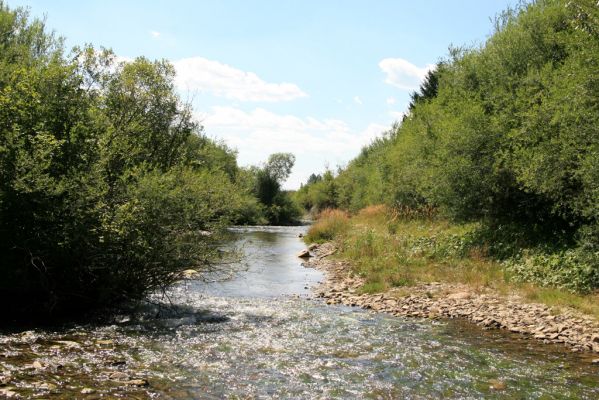 Čimhová, 2.8.2013
Štěrkové náplavy v meandrech řeky Oravice východně od obce.

Klíčová slova: Čimhová Oravica